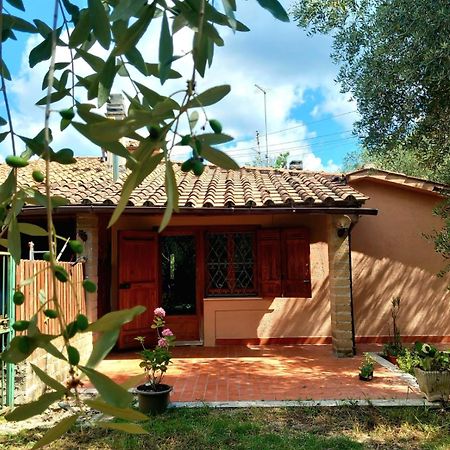 All'Ombra Degli Olivi Pisciarelli Bagian luar foto