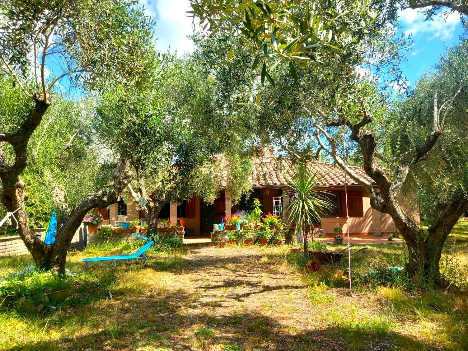 All'Ombra Degli Olivi Pisciarelli Bagian luar foto